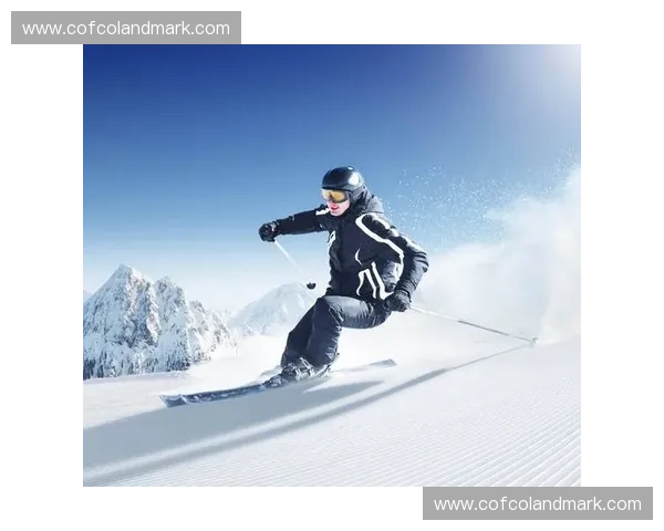 飞镖运动的魅力与技巧探索：从入门到进阶的全面解析