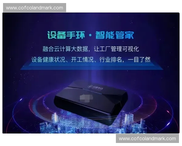 体育设备租赁服务创新模式探索与市场前景分析