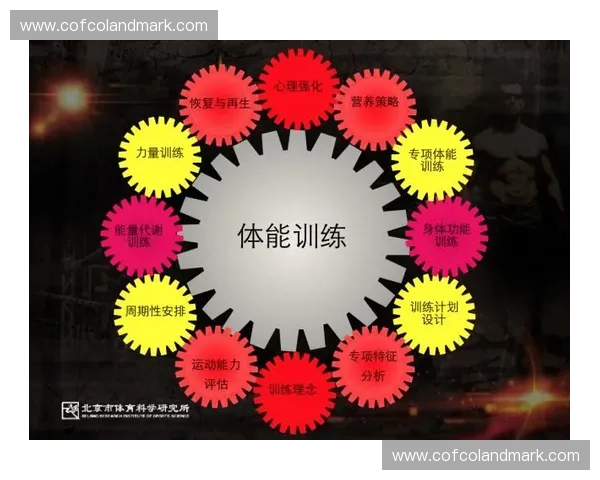 科学体能规划与个性化训练策略的有效结合与实践探索