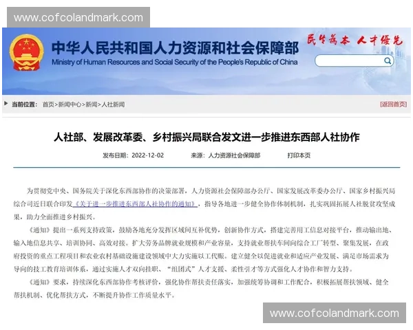 以集体节奏为核心推动社会协作与和谐发展的路径探索与实践研究