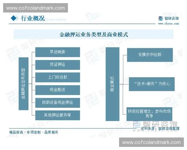 体育资产管理创新模式与发展趋势探索：数字化转型与可持续投资的战略路径