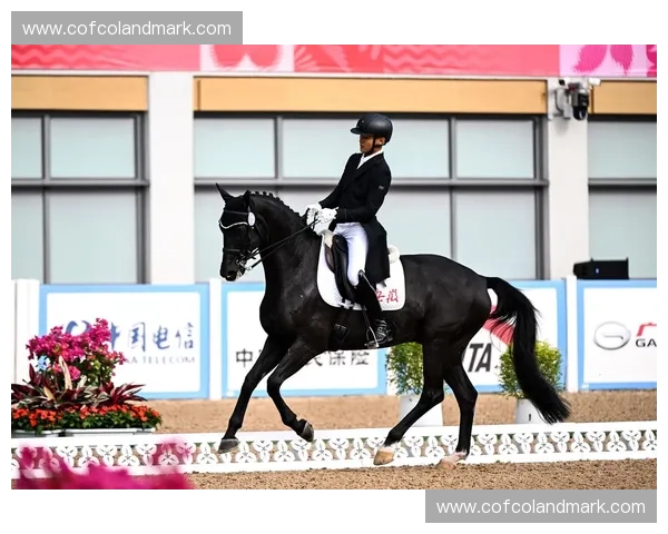 盛装舞步艺术魅力与马术文化融合发展探索与竞技精神传承研究路径分析